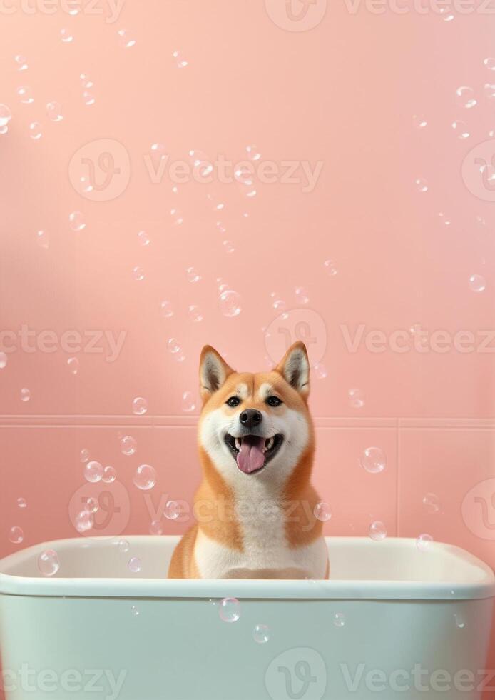 söt shiba inu hund i en små badkar med tvål skum och bubblor, söt pastell färger, generativ ai. foto