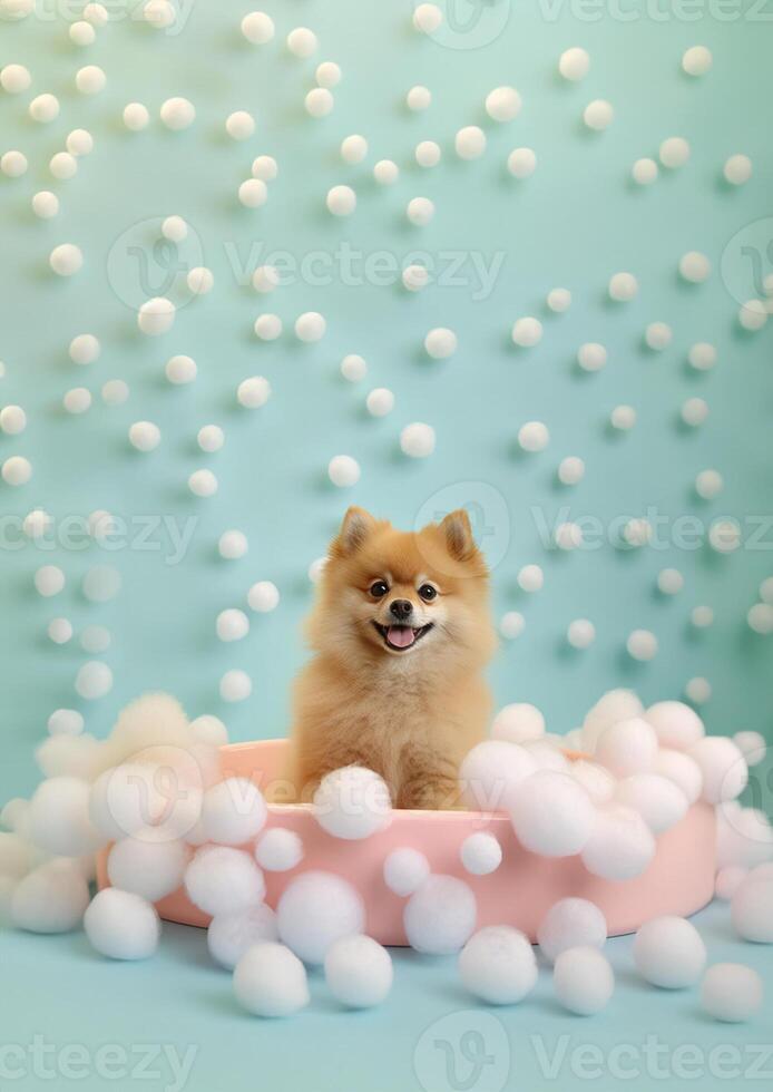 söt pomeranian hund i en små badkar med tvål skum och bubblor, söt pastell färger, generativ ai. foto