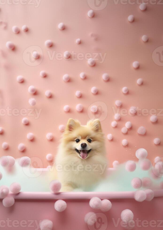 söt pomeranian hund i en små badkar med tvål skum och bubblor, söt pastell färger, generativ ai. foto