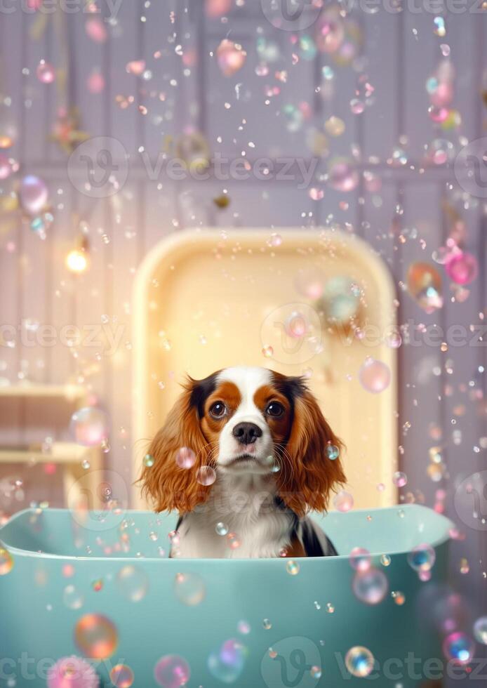 söt stolt kung charles spaniel hund i en små badkar med tvål skum och bubblor, söt pastell färger, generativ ai. foto