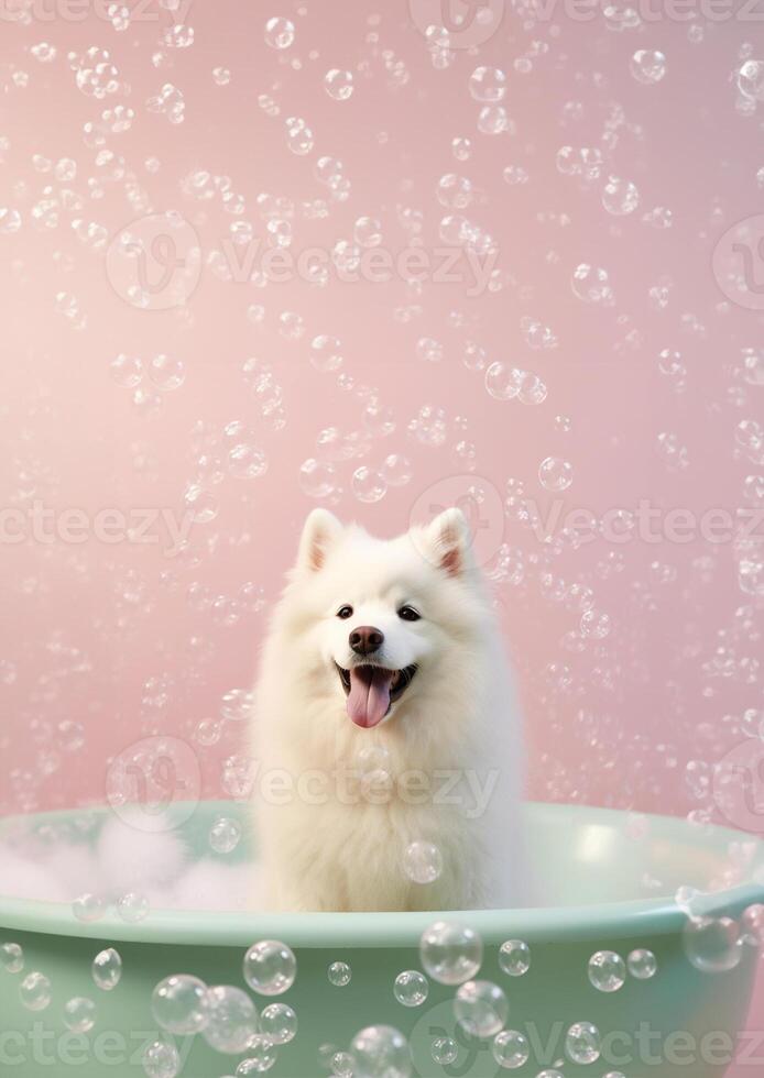 söt samojed hund i en små badkar med tvål skum och bubblor, söt pastell färger, generativ ai. foto