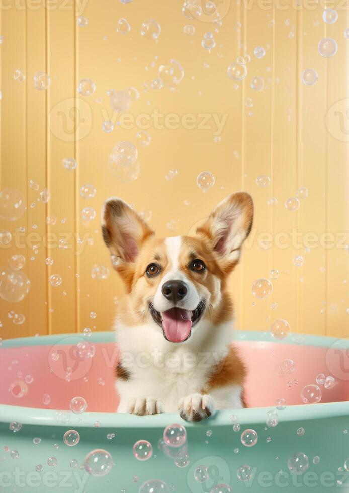 söt pembroke welsh corgi hund i en små badkar med tvål skum och bubblor, söt pastell färger, generativ ai. foto