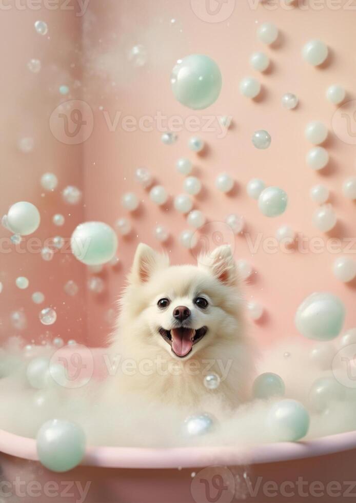 söt pomeranian hund i en små badkar med tvål skum och bubblor, söt pastell färger, generativ ai. foto