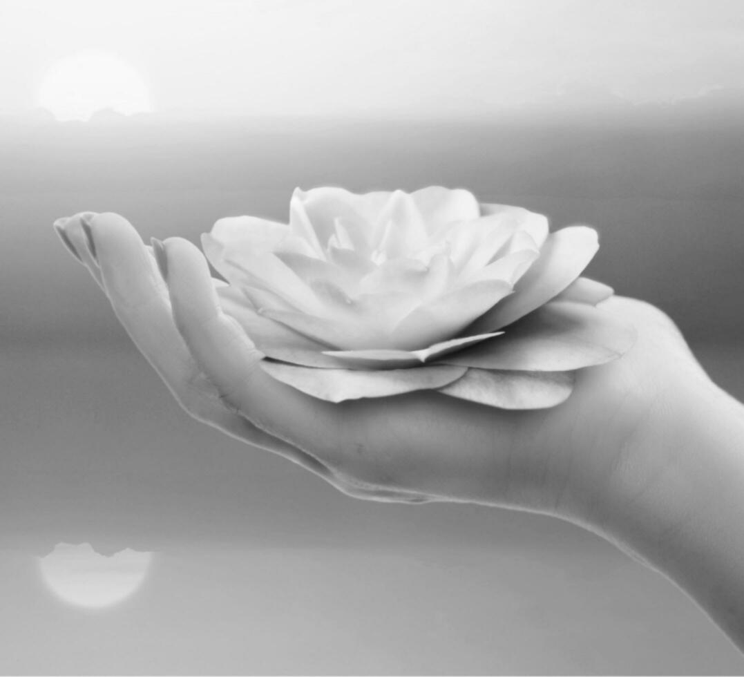 lotus med hand foto
