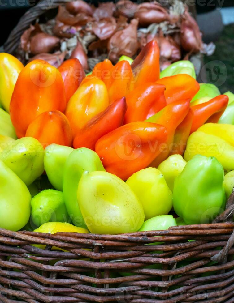 bulgarian peppar är grön och röd i de korg foto