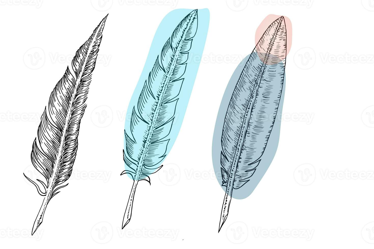 uppsättning av fågel fjädrar. hand dragen illustration konverterad till vektor. översikt med transparent bakgrund foto