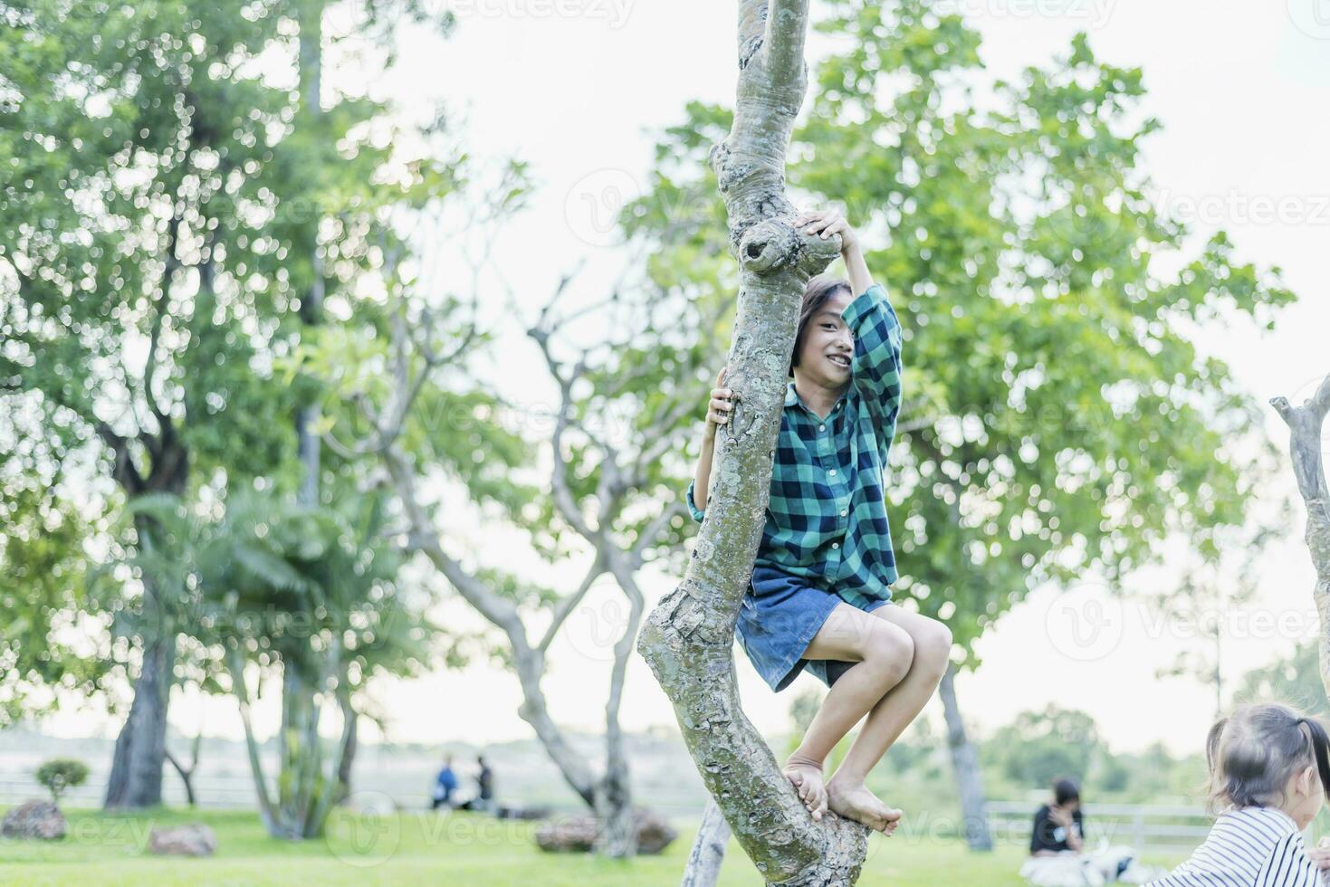 sydöst asiatisk liten flicka klättrande en träd till utforska natur Lycklig barn spelar i de parkera lekfull barn har roligt i de skog i sommar. foto