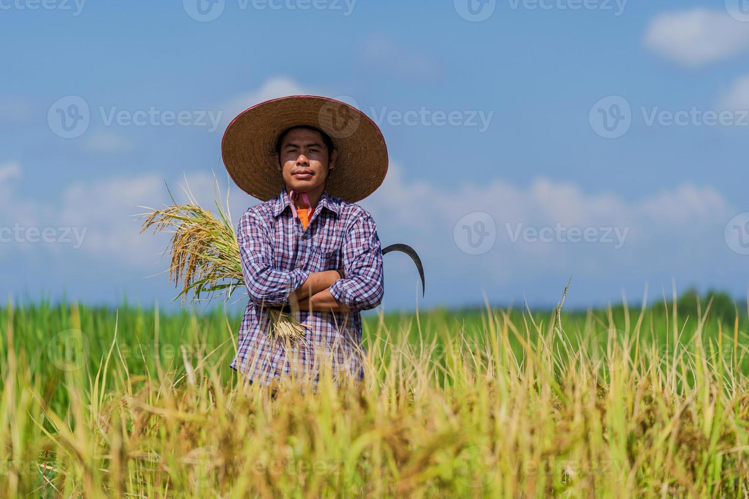 asiatisk bonde som arbetar i risfältet under blå himmel foto