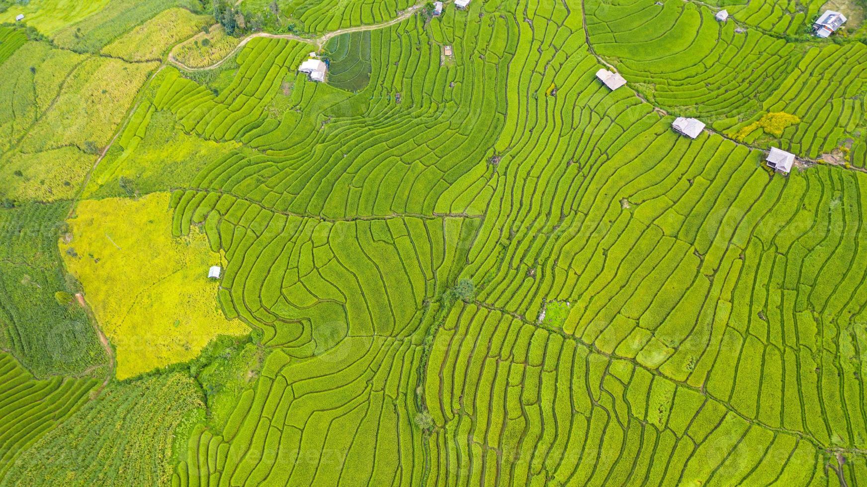 Flygfoto över de gröna terrasserade risfälten landskap olika mönster på morgonen i norra Thailand foto