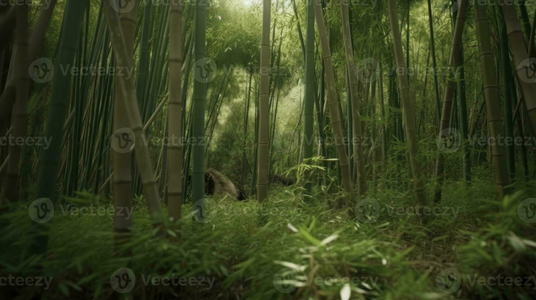 en bambu skog växande snabbt efter de regnig säsong foto