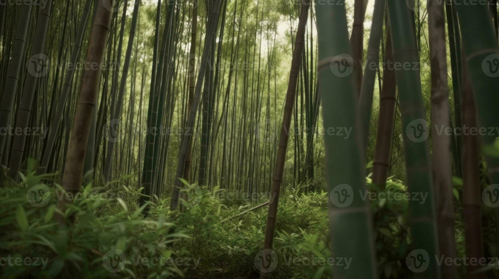 en bambu skog växande snabbt efter de regnig säsong foto