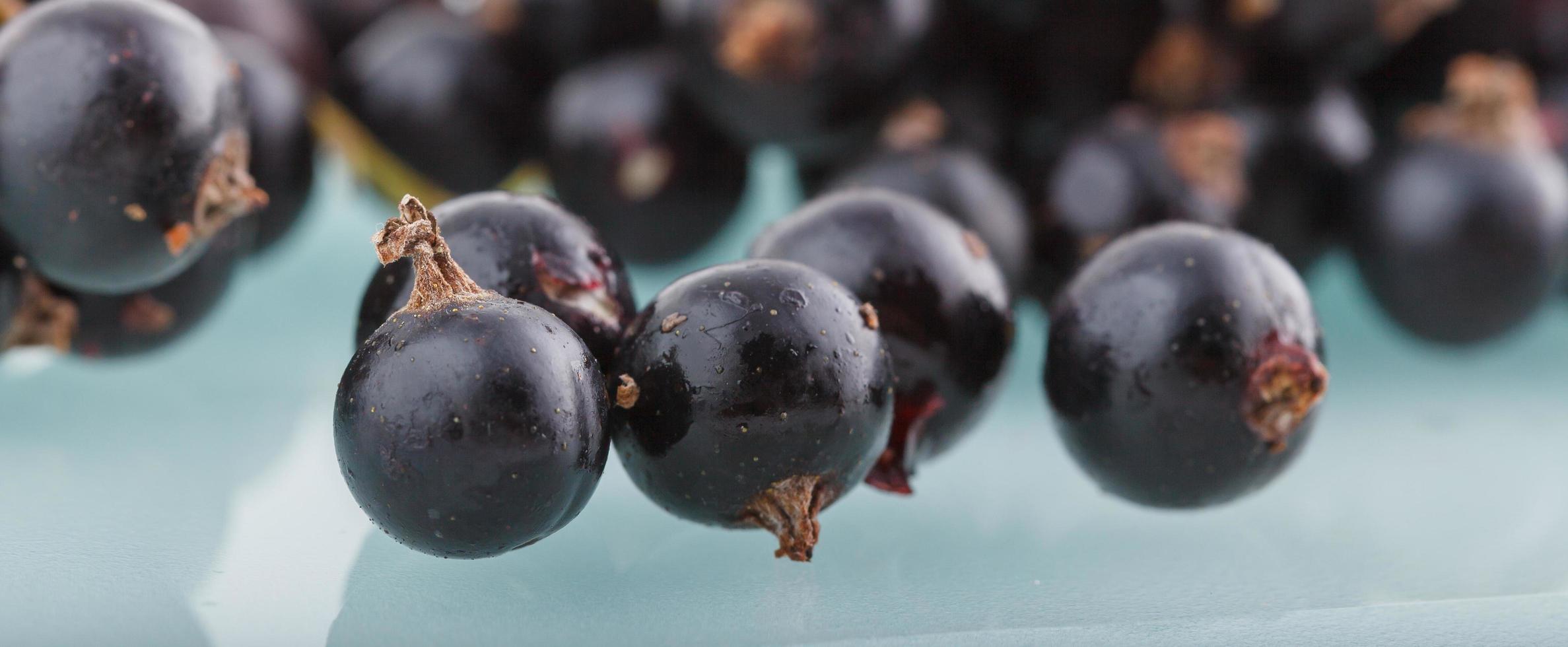 svart vinbär, bär från den friska bioträdgården sommar smakar vilda frukter foto