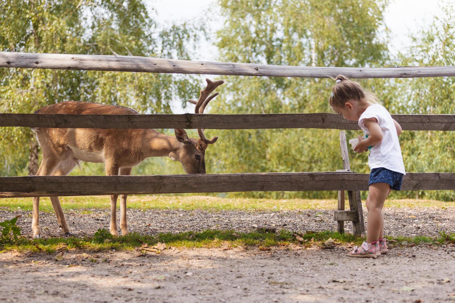 ung familj tillbringar kvalitetstid tillsammans rådjur utfodring i den vilda parken foto