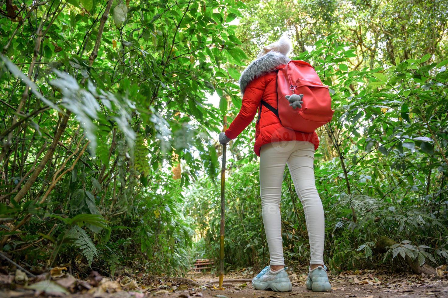 ungdomar som går på en kulle i Doi Inthanon, Chiang Mai, Thailand foto