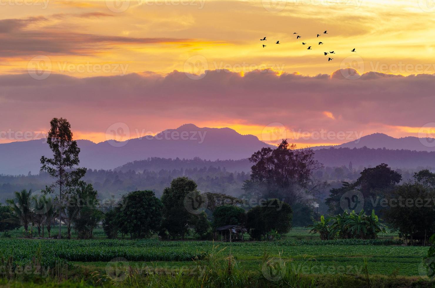 på kvällen, den gyllene himlen, utsikt över bergen i Chiang Mai Thailand foto