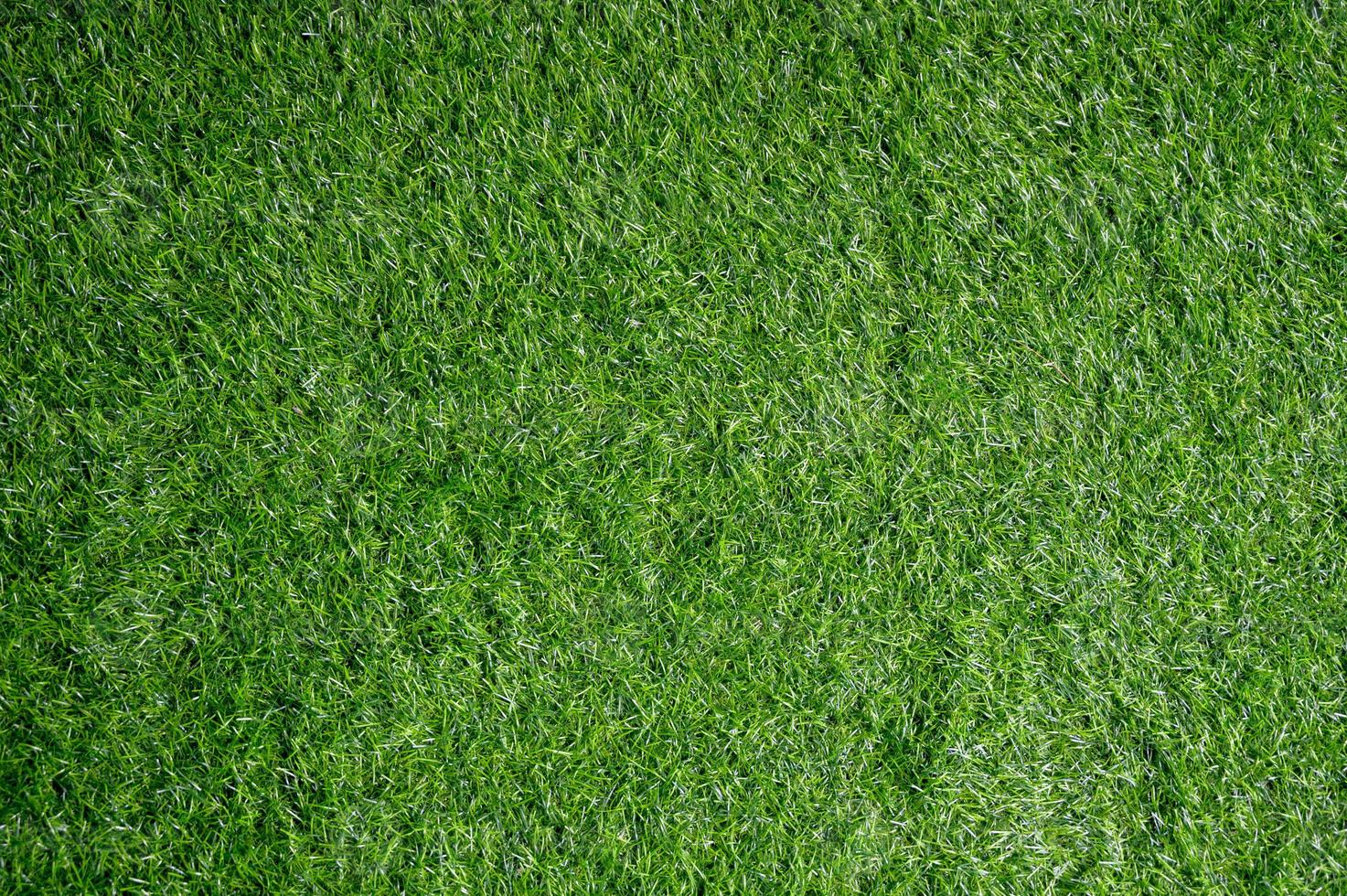 bakgrund fältet med grön gräsmatta ser ovan. foto