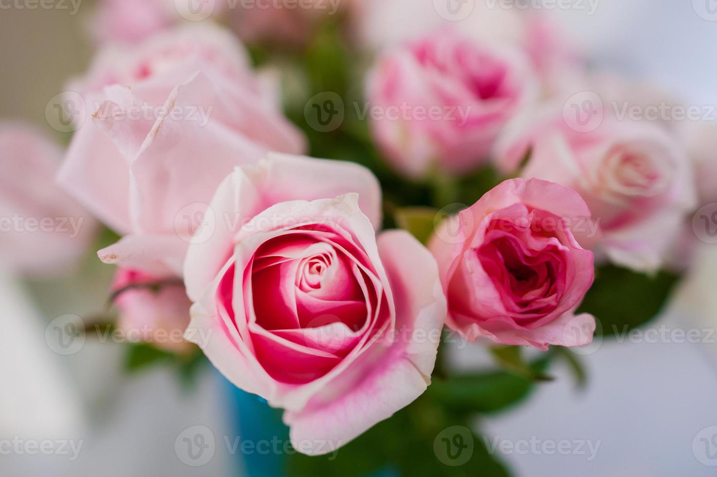 bukett med rosor rosa bakgrund oskärpa valentine foto