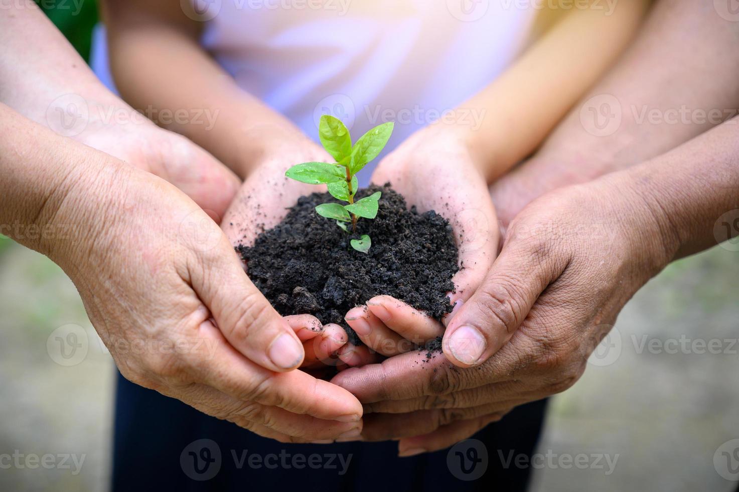 miljöjorddag i händerna på träd som växer plantor. bokeh grön bakgrund kvinnlig hand som håller träd på natur fält gräs skog bevarande koncept foto