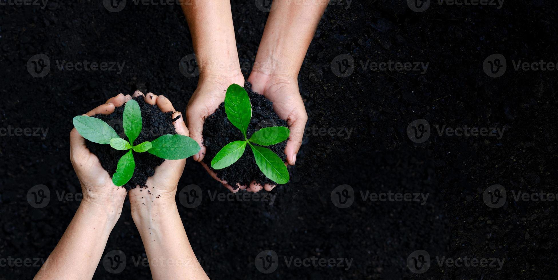 miljöjorddag i händerna på träd som växer plantor. bokeh grön bakgrund kvinnlig hand som håller träd på natur fält gräs skog bevarande koncept foto