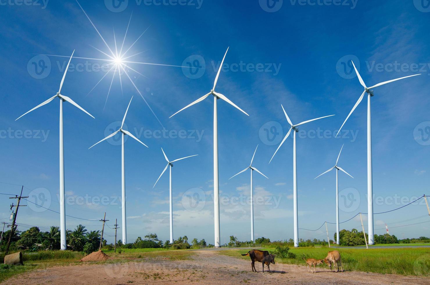 vindkraft energi grön ekologisk energiproduktion. vindkraftverk ekofält vacker himmel hua sai distrikt nakhon si thammarat thailand foto
