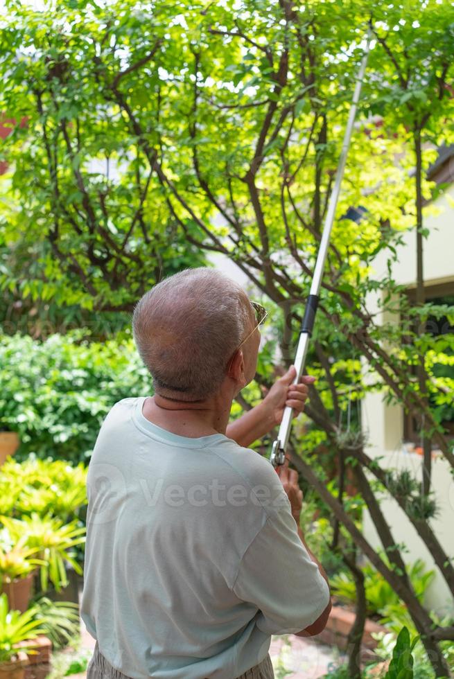 senior reitred asiatisk man beskär träd i hemmet bakgård under fritiden foto