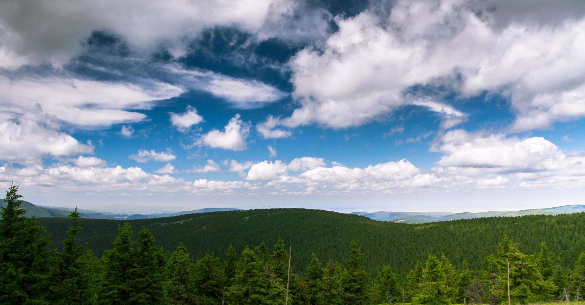 sommarskog i berg foto