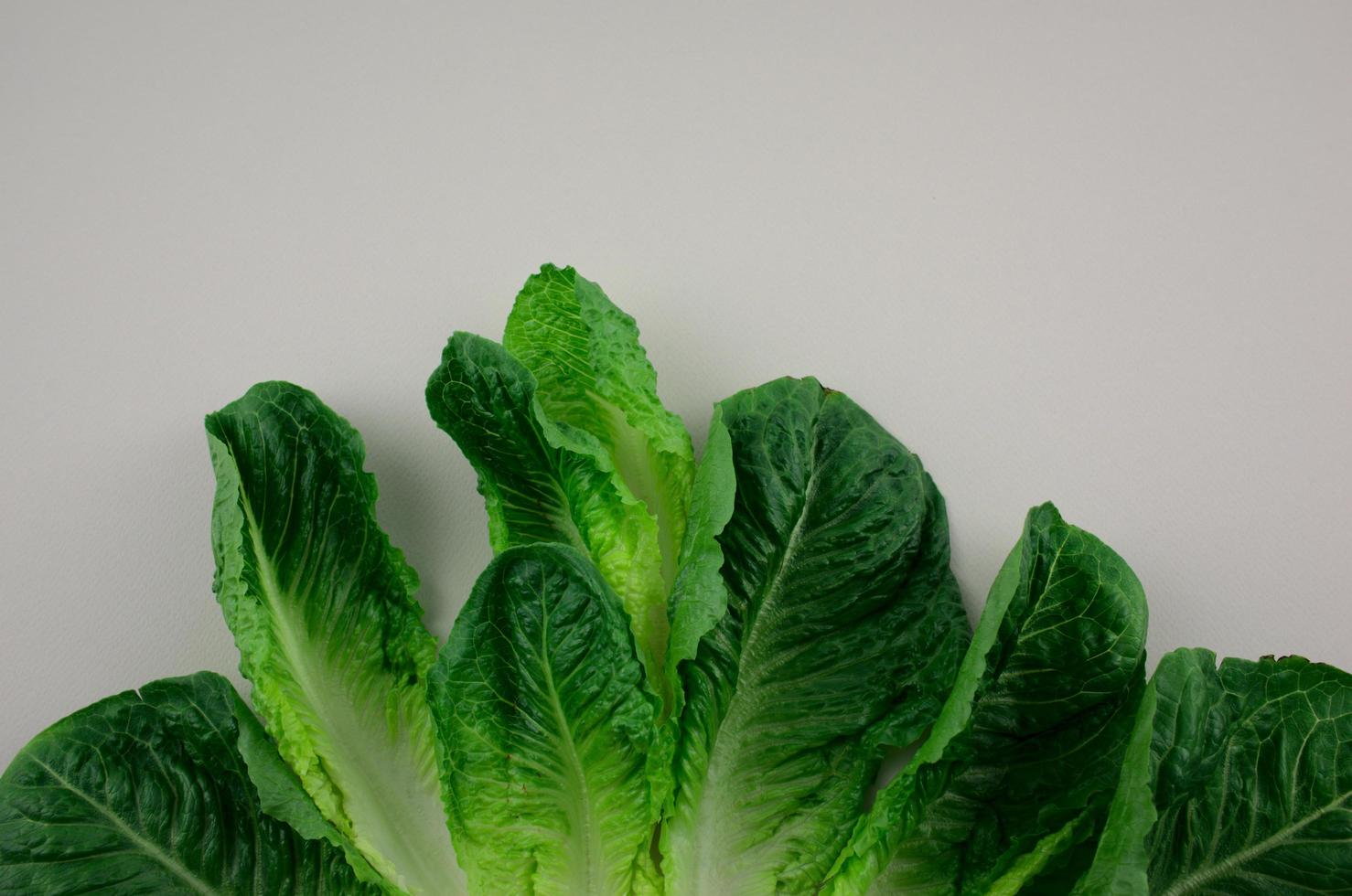 cos sallad eller romaine sallad grönsaksarrangemang mönster platt låg på grå bakgrund foto