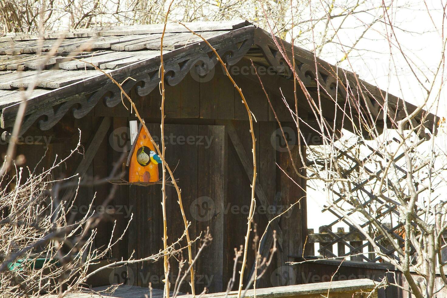 trä- tillverkad fåglar hus foto