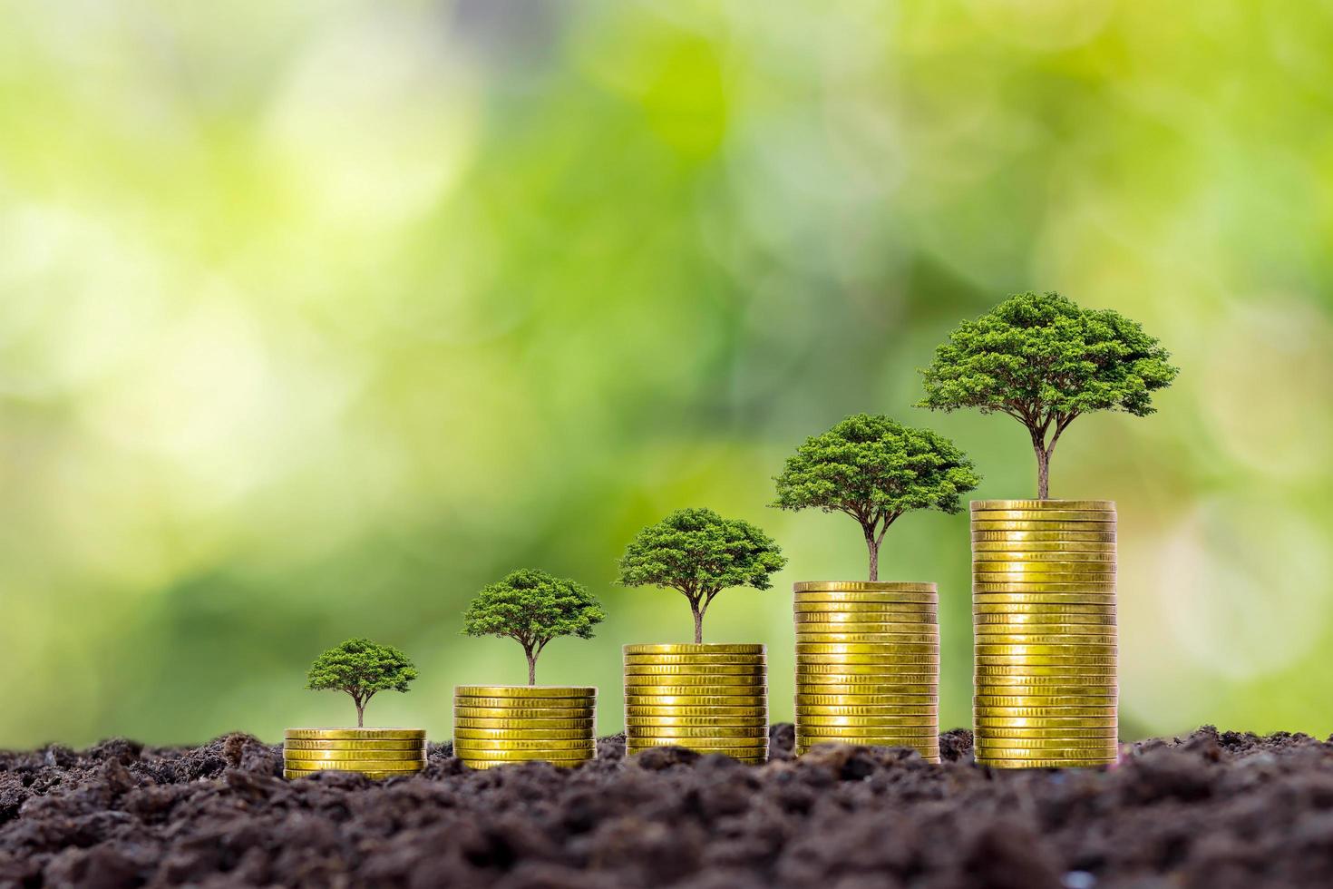 mynt och växter odlas på en hög med mynt för finans och bank. tanken på att spara pengar och öka ekonomin. foto