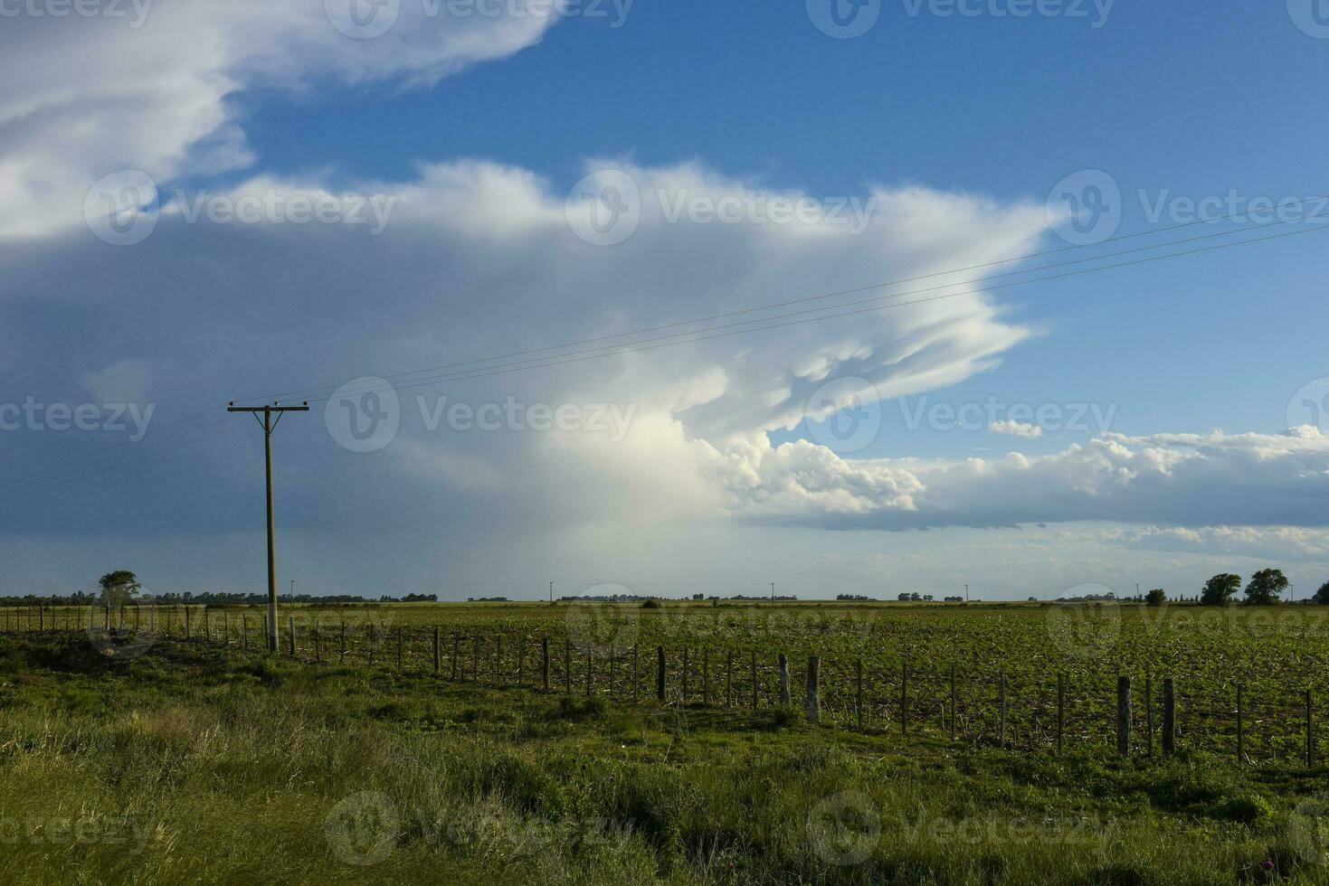 argentine landsbygden landskap, la pampa provins, patagonien, argentina. foto