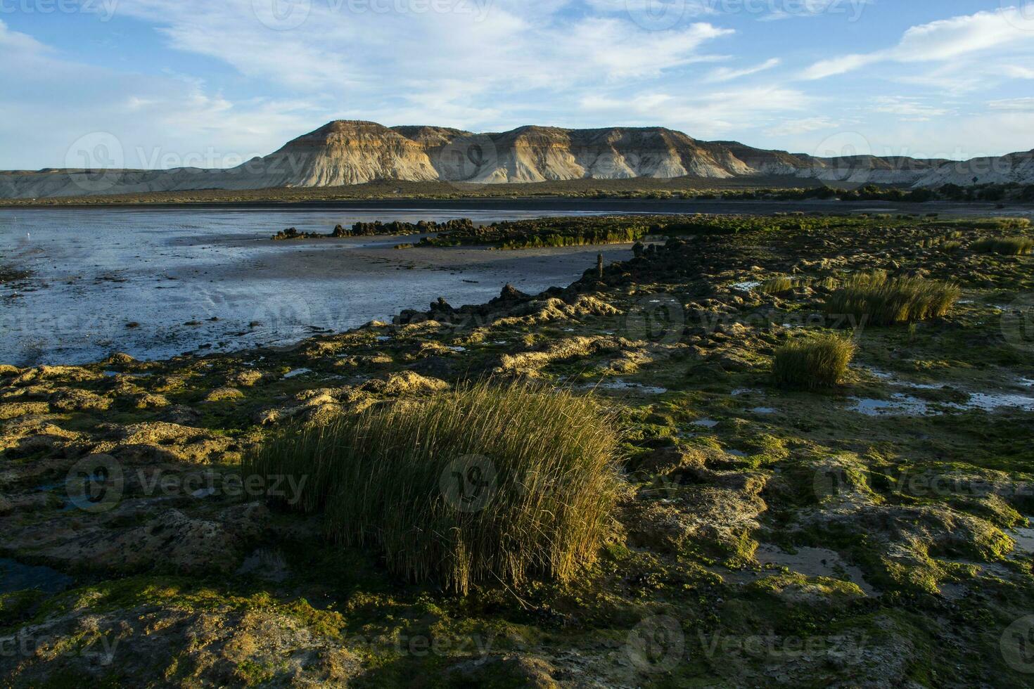 cerro avanzado skyddade område, , värld arv webbplats, chubut provins, patagonien, argentina. foto