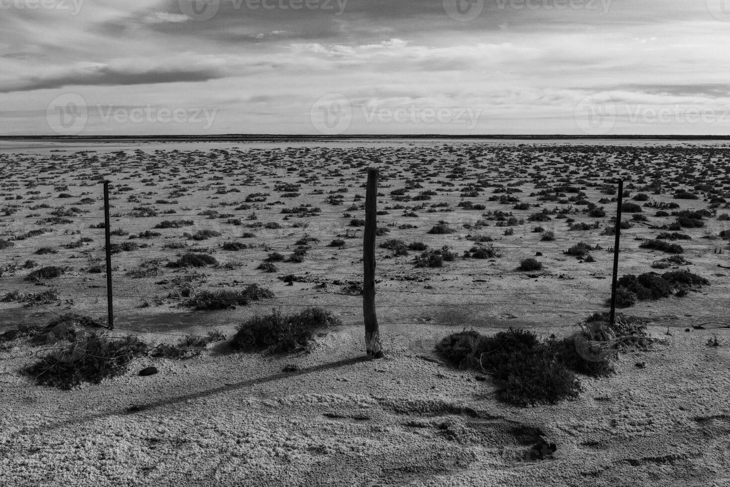 salt jord i en semi öken- miljö, la pampa provins, patagonien, argentina. foto