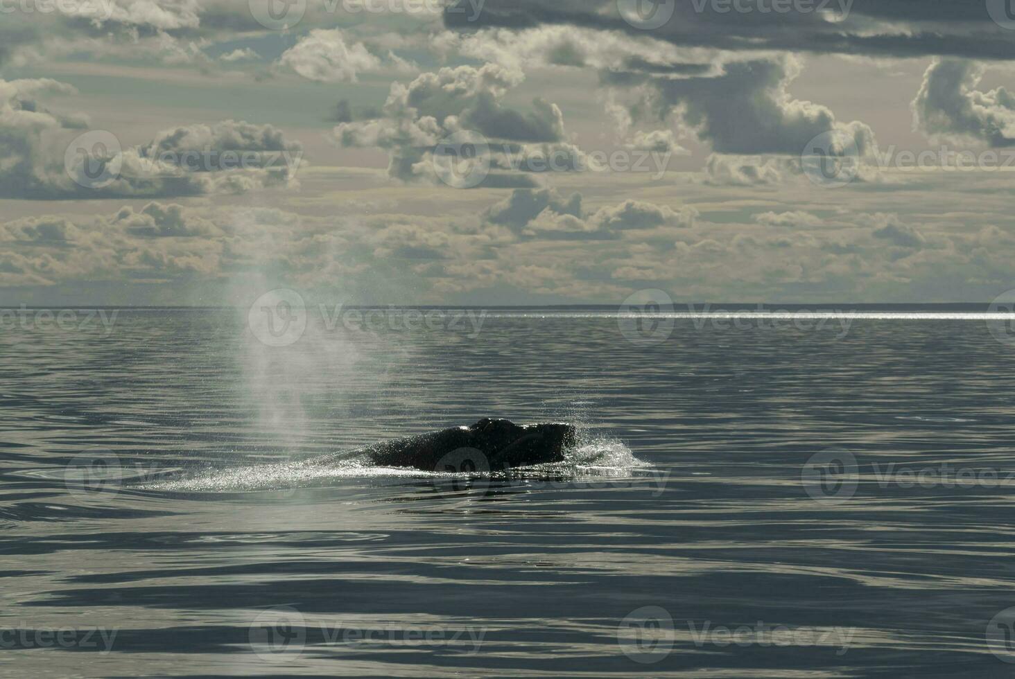 val patagonien argentina foto