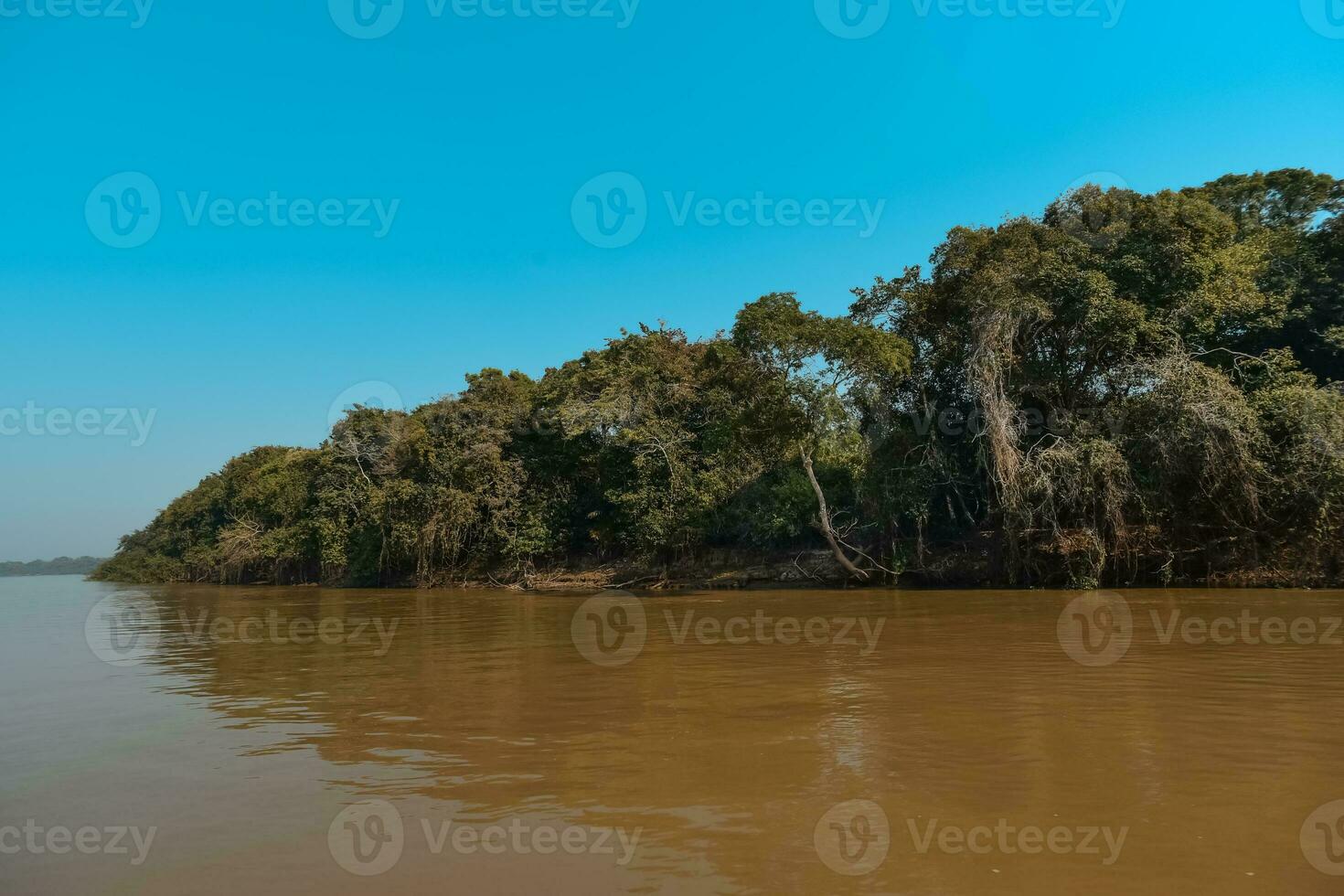 flod landskap och djungel, pantanal, Brasilien foto