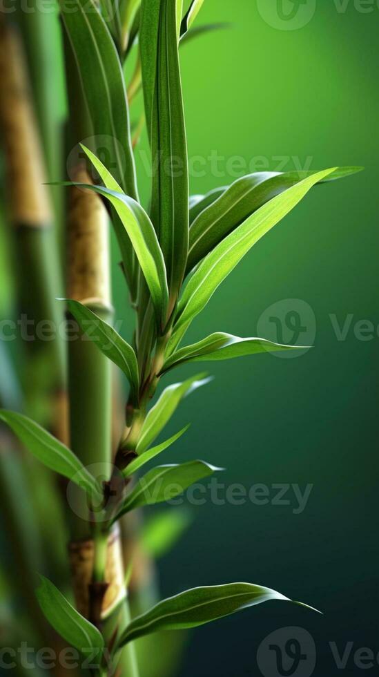 bonsai bambu träd träd bakgrund. ai genererad foto