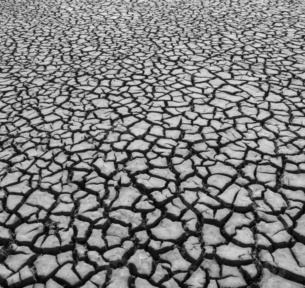bruten jord i pampas miljö , patagonien, argentina. foto