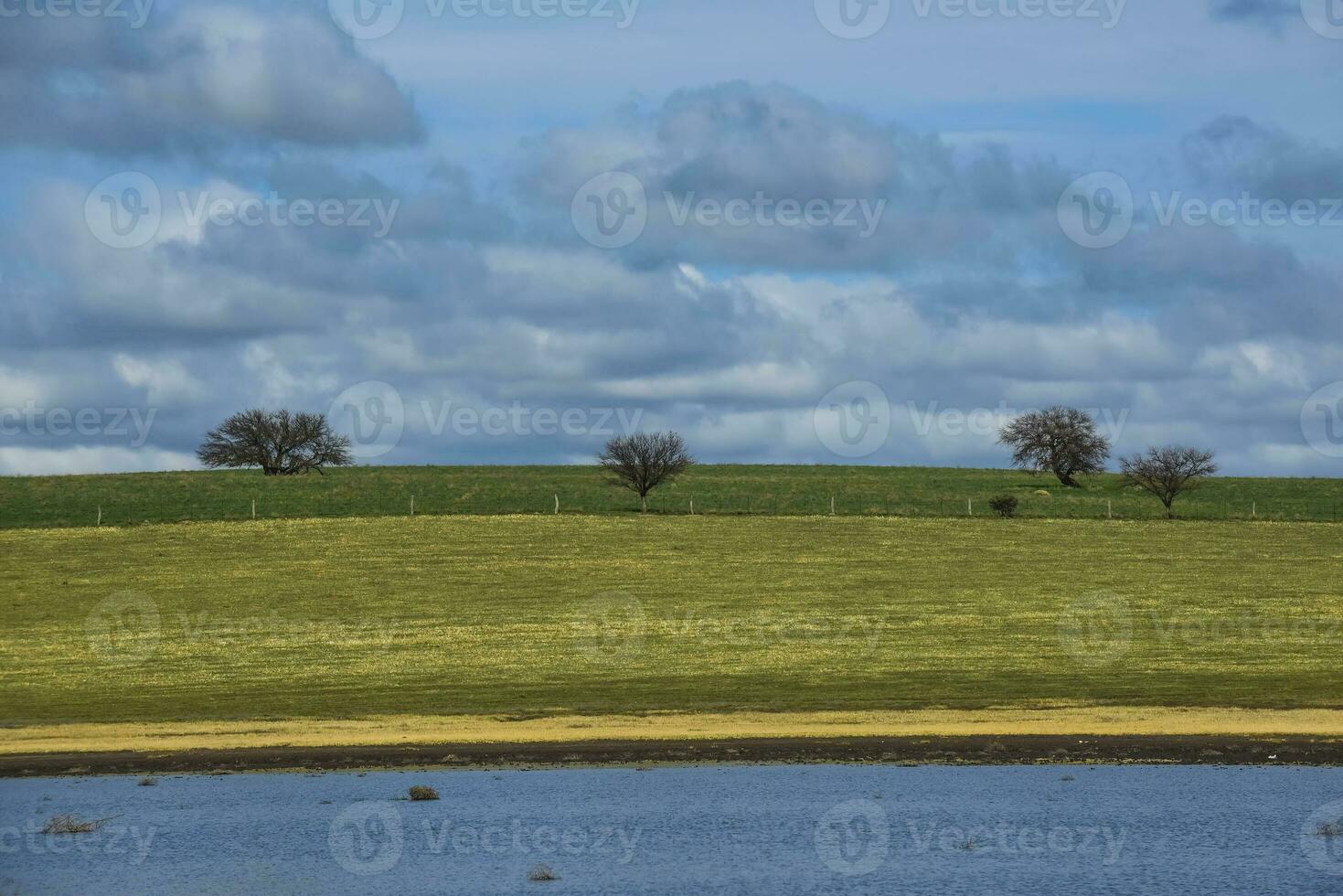 pampas landskap med molnig himmel, la pampa, argentina. foto