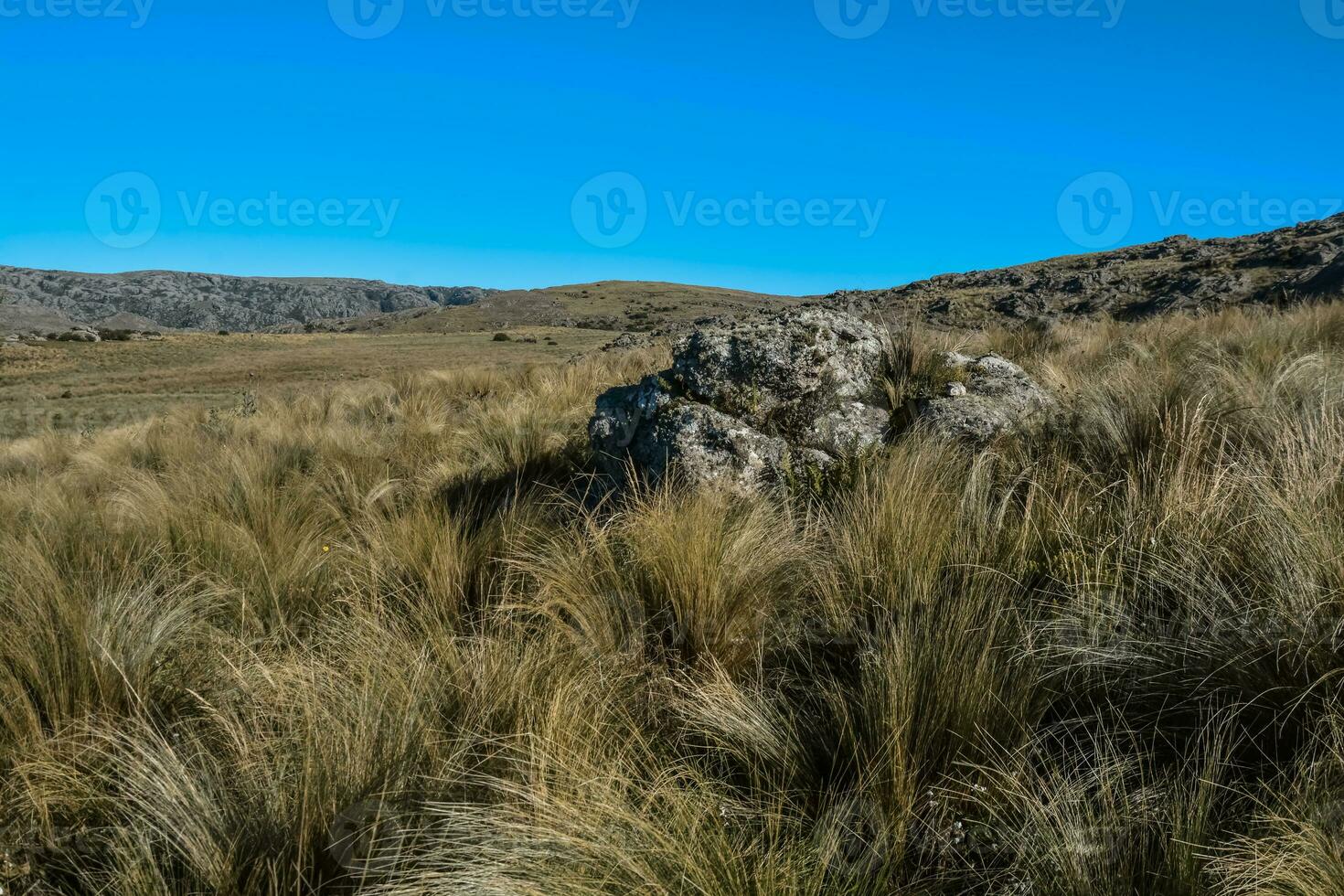 quebrada del condorito nationell park, Cordoba provins, argentina foto