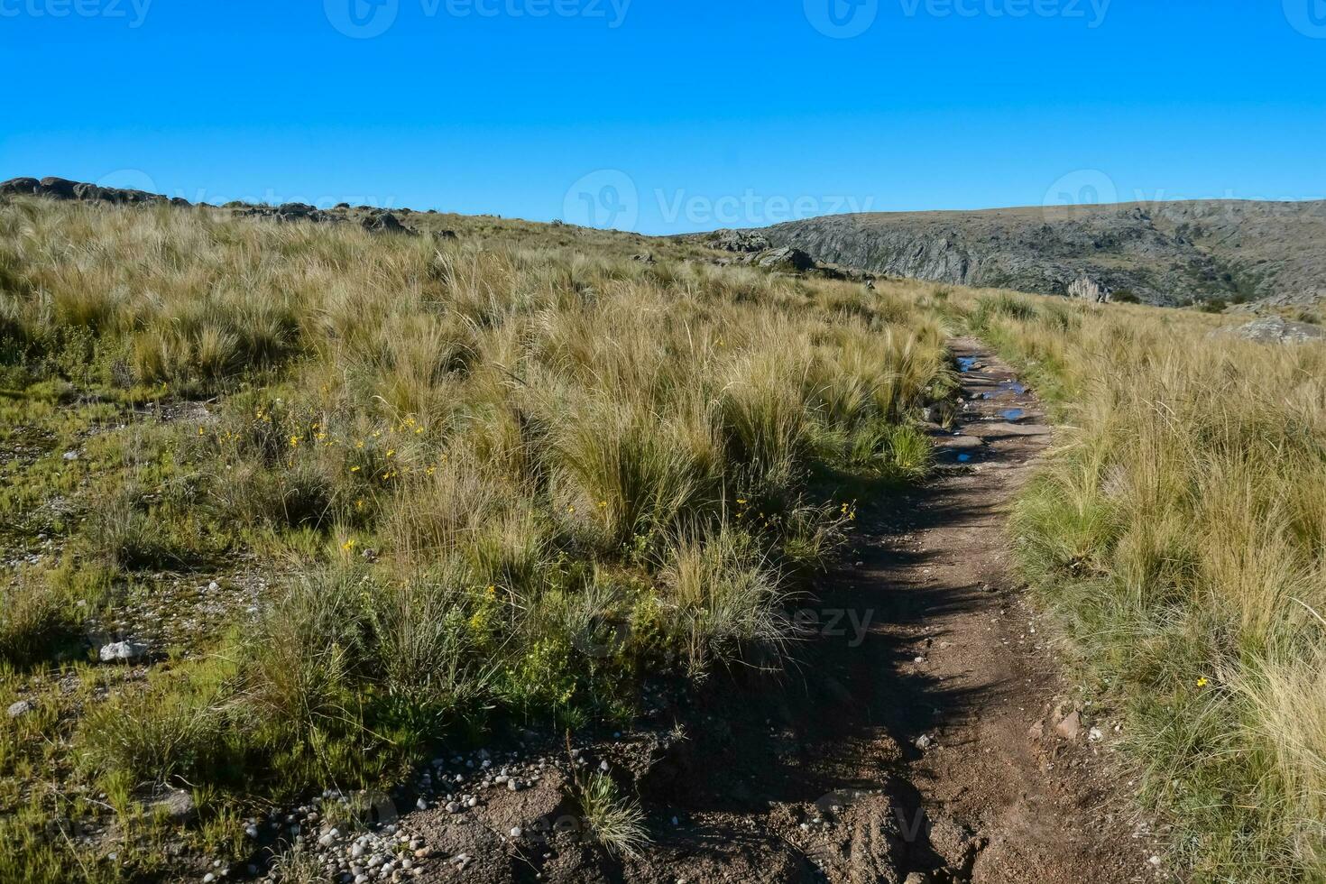 quebrada del condorito nationell parkera landskap, cordoba provins, argentina foto