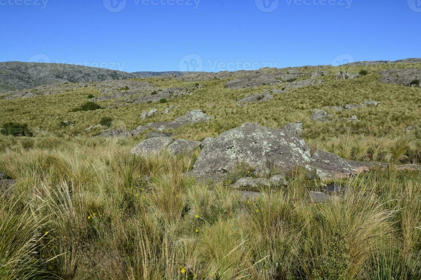 quebrada del condorito nationell parkera landskap, cordoba provins, argentina foto