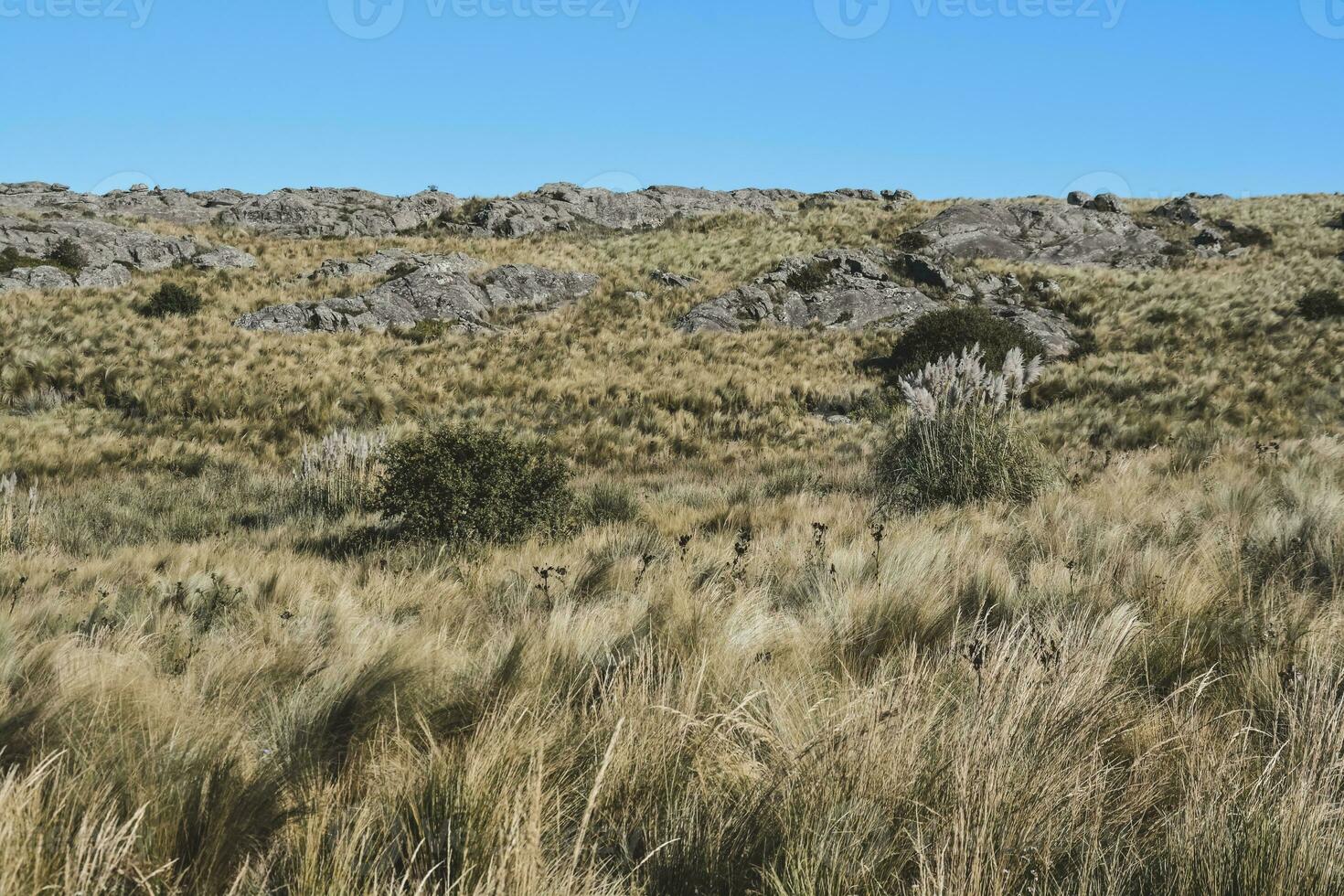 quebrada del condorito nationell parkera landskap, cordoba provins, argentina foto