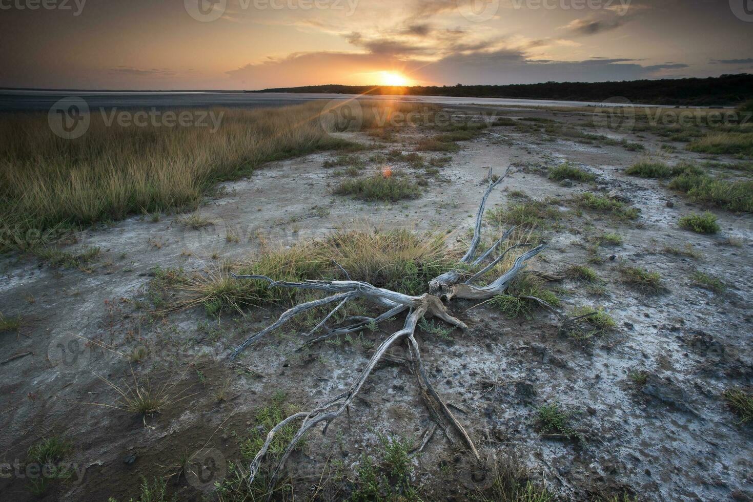 bruten torr jord i en pampas lagun, la pampa provins, patagonien, argentina. foto