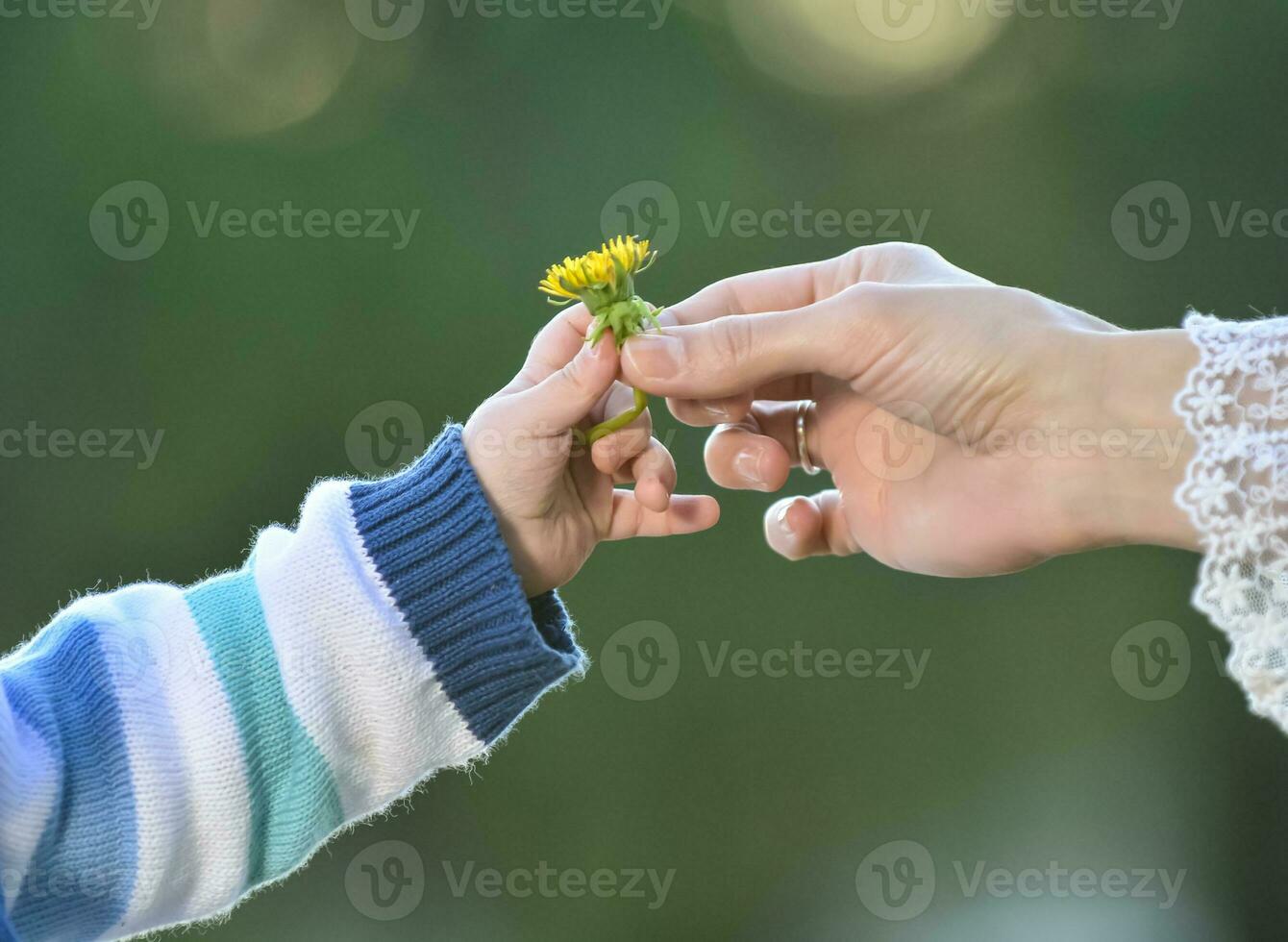 hand ger en blomma, mor och son foto