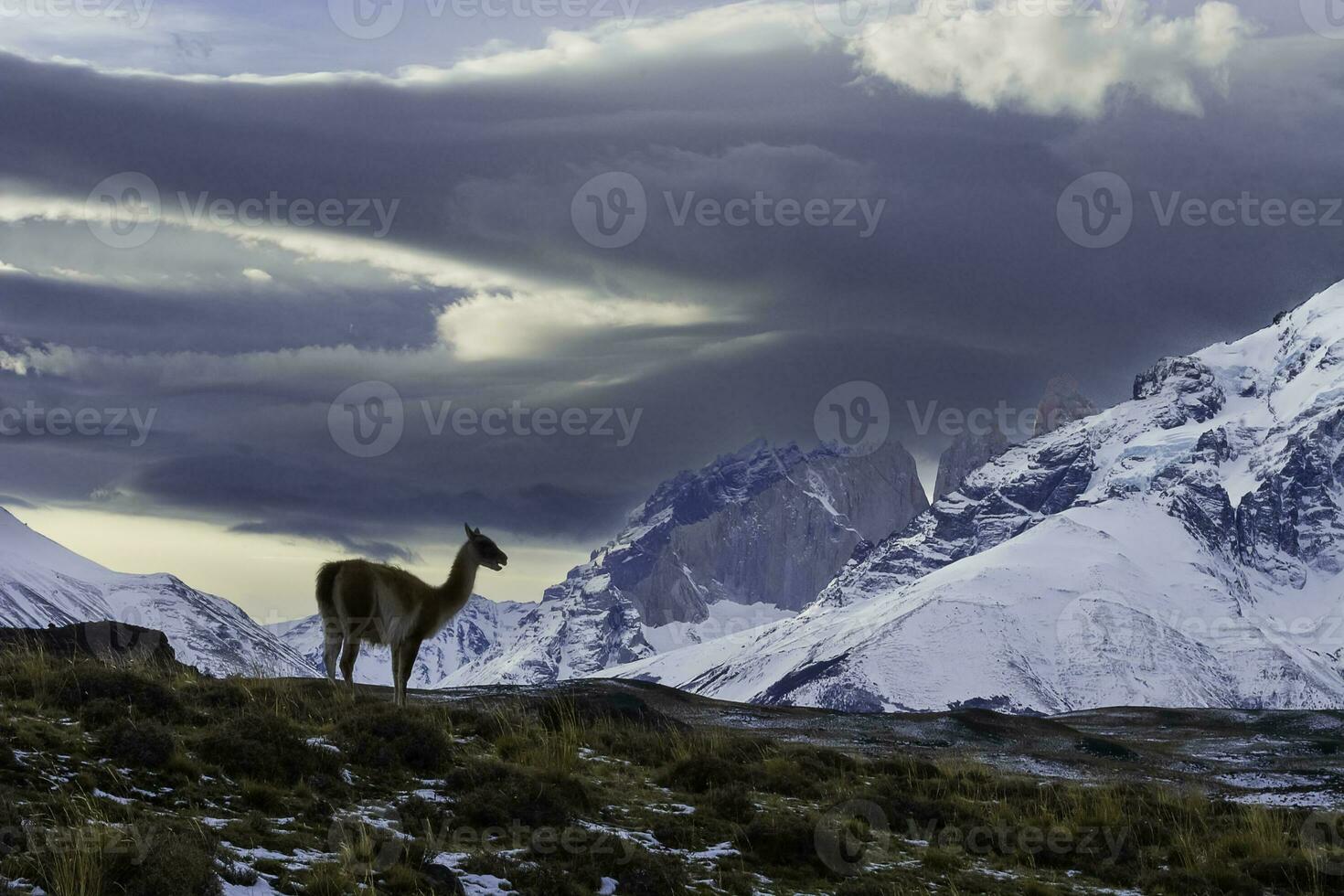 berg landskap miljö, torres del paine nationell parkera, patagonien, Chile. foto