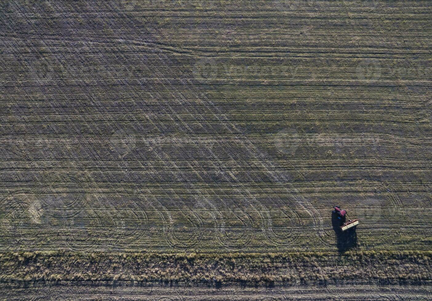 traktor och såmaskin, direkt sådd i de pampa, argentina foto