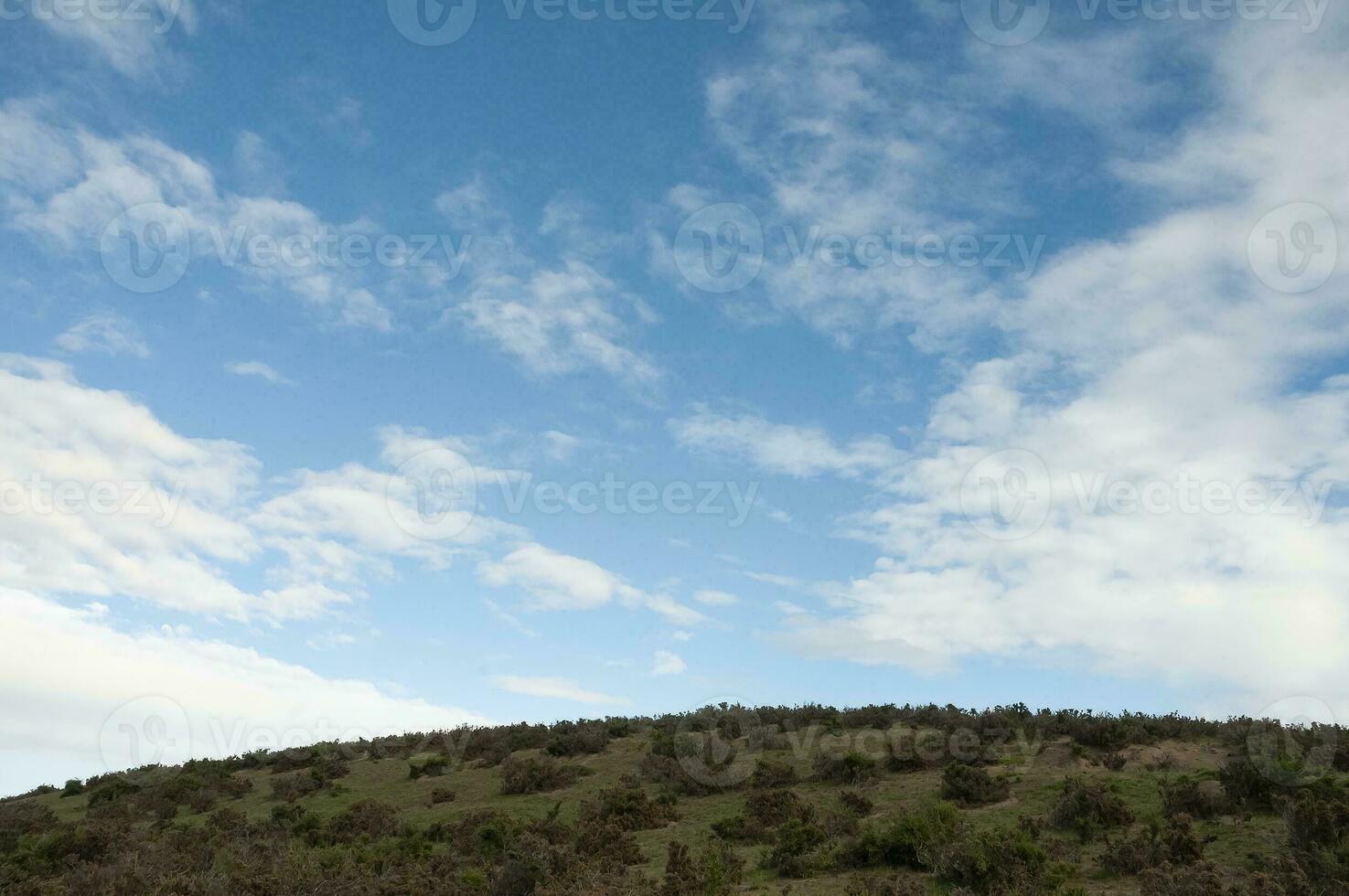 patagonien landskap, chubut provins, patagonien, argentina. foto