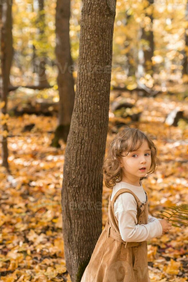 liten unge flicka i höst parkera. livsstil, falla säsong och barn begrepp. foto