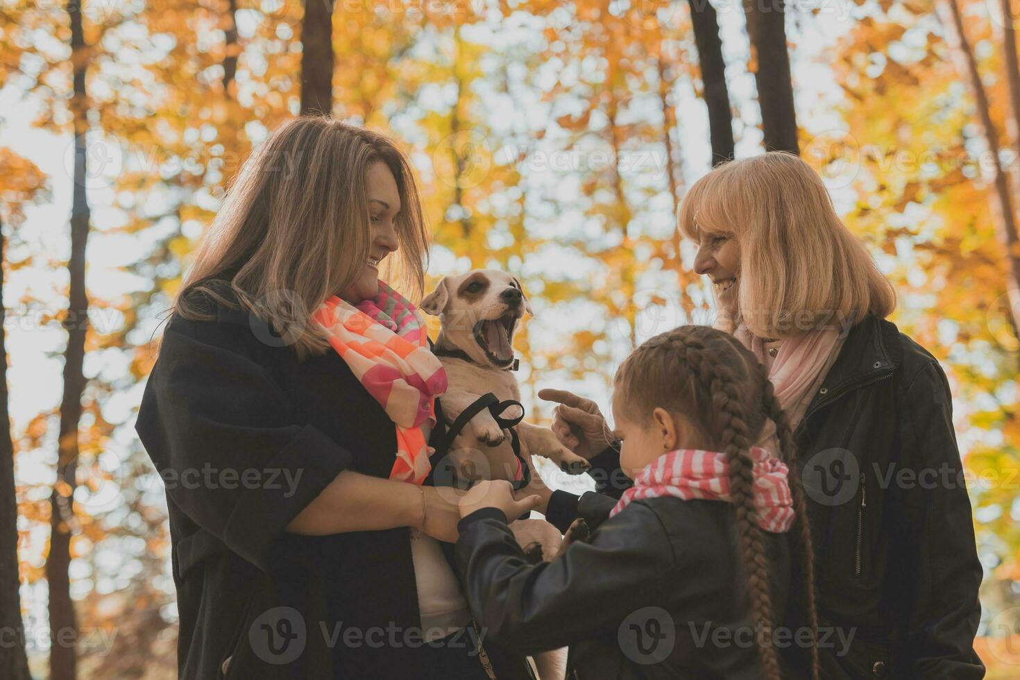 mormor och mor med barnbarn har roligt med hund i höst säsong. generation, fritid och familj begrepp foto