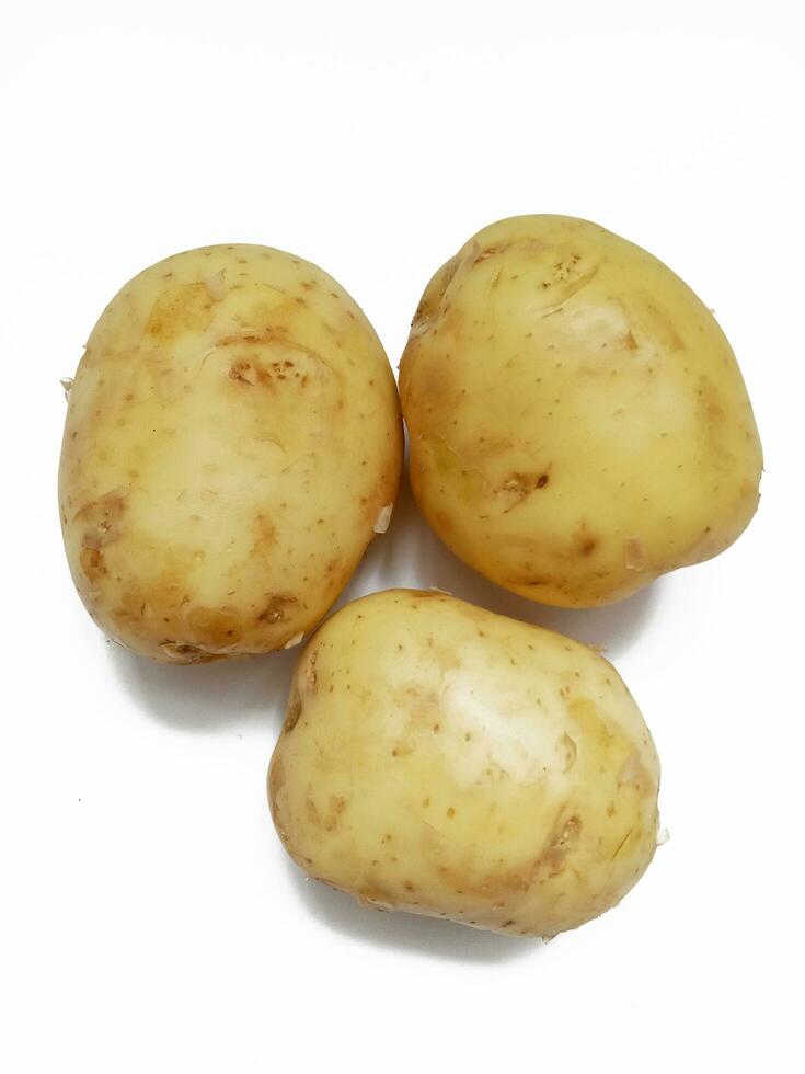 ung färsk potatis isolerat på vit bakgrund foto