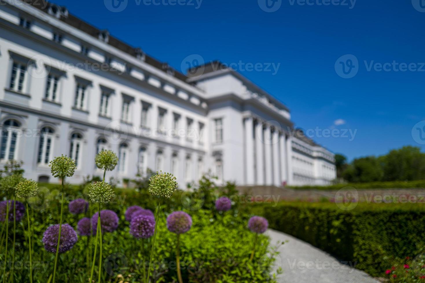 slottet i Koblenz i Tyskland foto